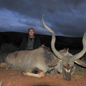 Kudu Hunting Karoo South Africa