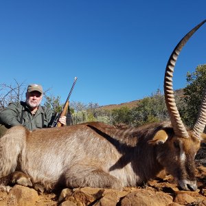 Waterbuck Hunt Karoo South Africa