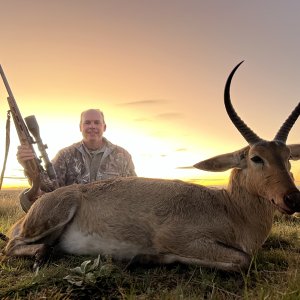Reedbuck Hunting Mpumalanga South Africa