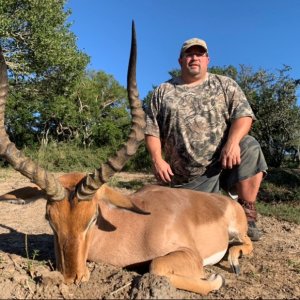 Impala Hunting South Africa