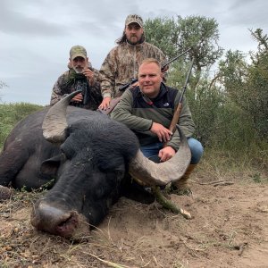 Water Buffalo Hunt Argentina