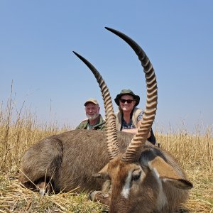 Waterbuck Hunting Zimbabwe