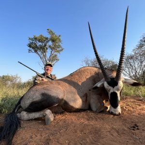 Gemsbok Hunting South Africa