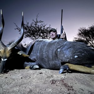 Nyala Hunting South Africa