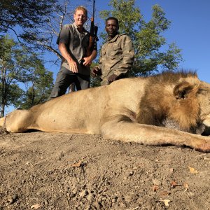 Lion Hunting Zimbabwe