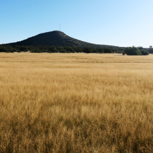 Namibia Scenery