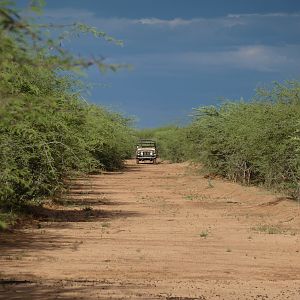 Hunting at Ozondjahe in Namibia