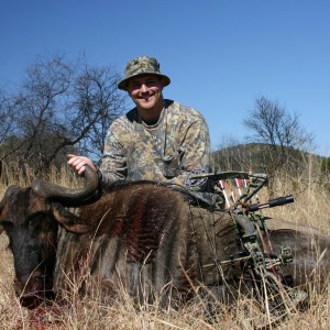 Bowhunting Wildebeest South Africa