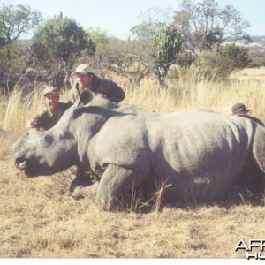 Hunting White Rhino