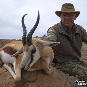 Hunting Springbok