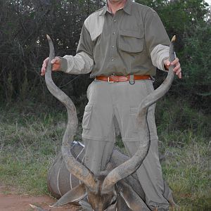 Hunting kudu