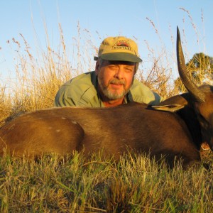 Limpopo bushbuck