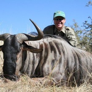 Hunting Wildebeest in Namibia