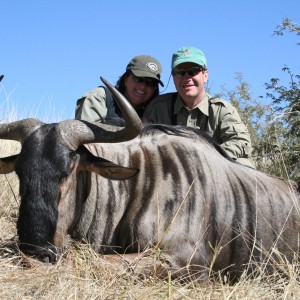 Hunting Wildebeest in Namibia