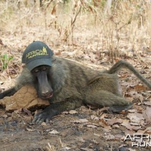 Hunting in Cameroon