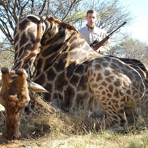 Hunting Giraffe in Namibia