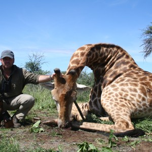 Hunting Giraffe in Namibia