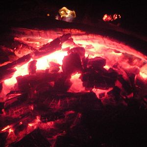 Campfire Africa