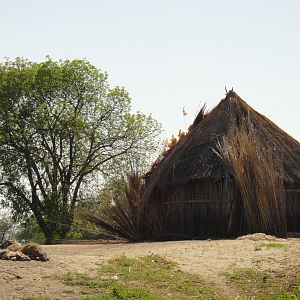 Caprivi Namibia