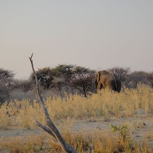 Namibia