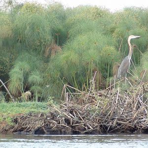 Caprivi Namibia