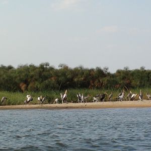 Caprivi Namibia