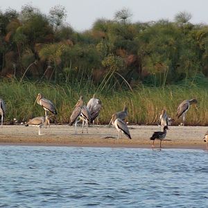 Caprivi Namibia