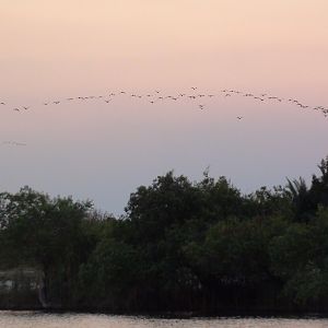 Sunset Caprivi Namibia