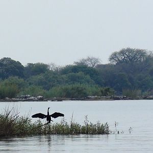 Caprivi Namibia