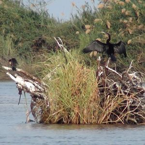 Caprivi Namibia