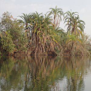 Caprivi Namibia