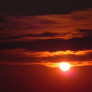 Sunset Caprivi Namibia