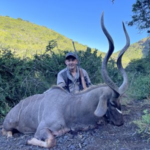 Kudu Hunting South Africa