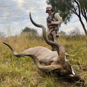 Kudu Hunting South Africa