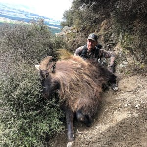 Tahr Hunt New Zealand