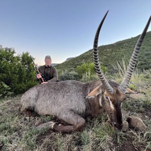 Waterbuck Hunting Karoo South Africa