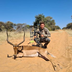 Impala Bow Hunting Namibia