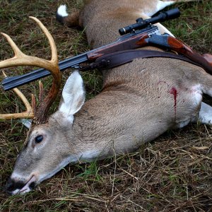 Whitetail Deer Hunting