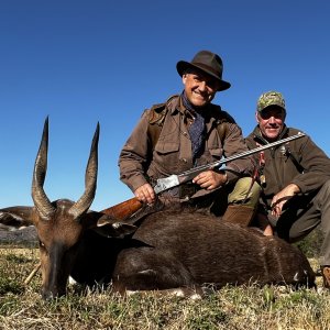 Bushbuck Hunting