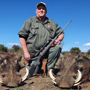 Warthog Hunting South Africa