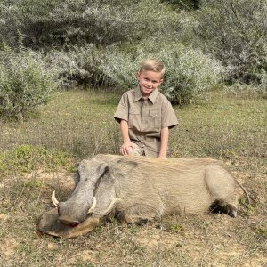 Warthog Hunting South Africa