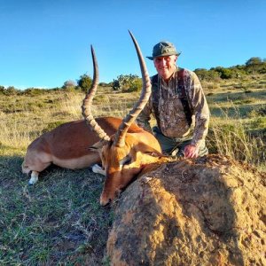 Impala Hunting South Africa