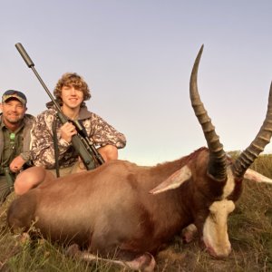 Blesbok Hunting Eastern Cape South Africa