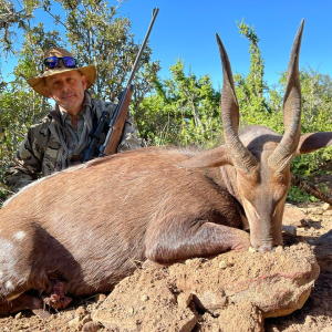 Bushbuck Hunt South Africa