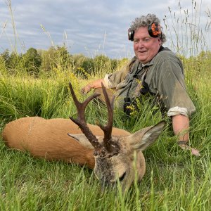 Roe Deer Hunting Romania