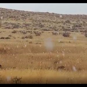 Snow in Namibia