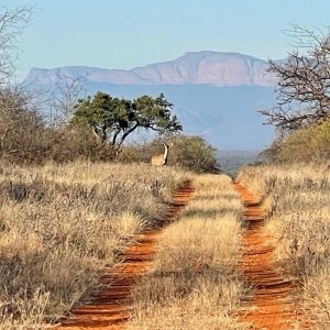 Scenery South Africa