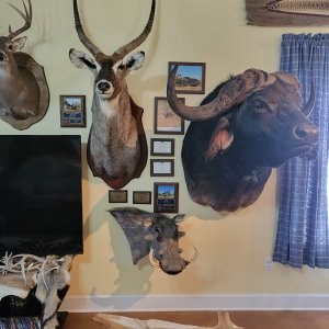 Trophy Room