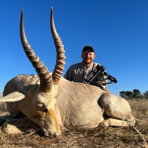 White Blesbok Bow Hunt South Africa