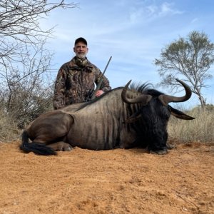 Blue Wildebeest Hunt South Africa